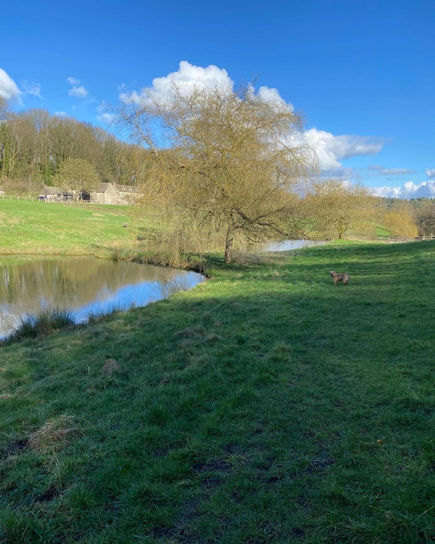 Dove Cottage Bisley  Екстер'єр фото