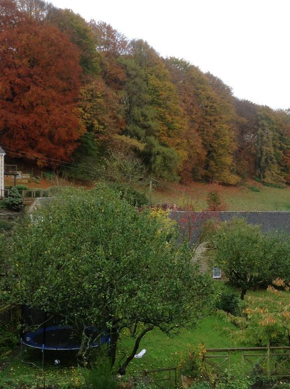 Dove Cottage Bisley  Екстер'єр фото